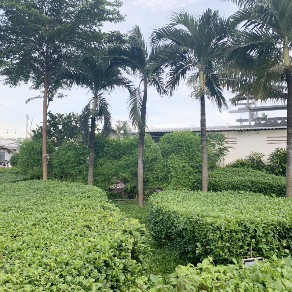 CÔNG TY TNHH DỊCH VỤ VÀ KỸ THUẬT PHÚ CƯỜNG